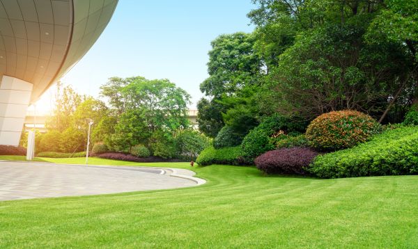 Cost of Commercial Shrub Trimming in Zionsville