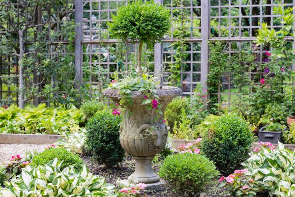Cost of Topiary Pruning in Zionsville