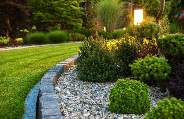 Cost of Bush Relocation in Zionsville
