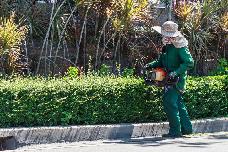 Shrub Trimming in a Garden Bed